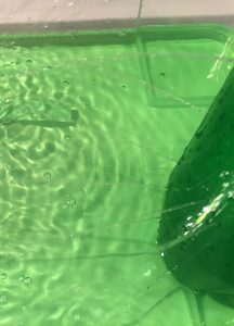 Von oben blicken wir auf Wasserstrahlen, die aus einer Wasserflasche fließen. Das Wasser ist grün angefärbt und in einer Plastikschale gesammelt.