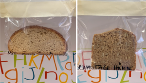 Zwei Scheiben Brot in einer verschlossenen Plastiktüte. Die Brotscheiben wurden mit schmutzigen Handflächen angefasst. 