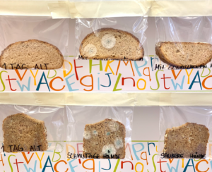2 Reihen mit je 3 Broten sind zu sehen. Die obere Reihe ist ein Brottyp. Die untere Reihe ist ein zweiter Brottyp. Links sind Brote, die nicht berührt wurden; rechts hängen Brote, die mit gewaschenen Händen bzw. in der Mitte sind Brote, die mit schmutzigen Händen angefasst wurden.