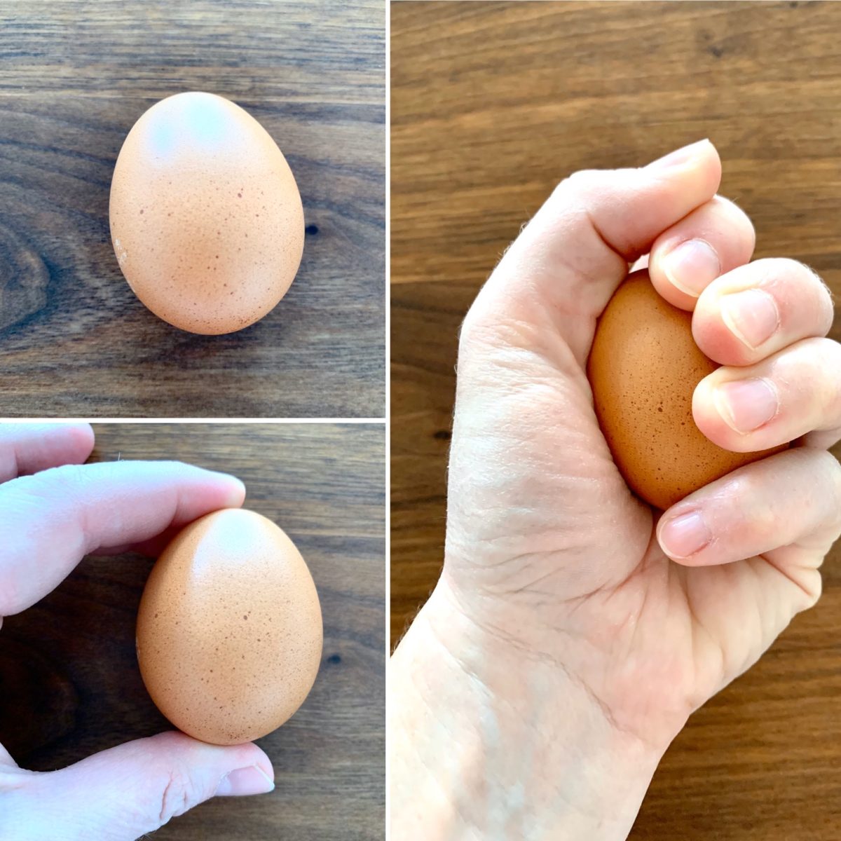 SCHNELL GEFORSCHT: Kräftemessen mit einem Ei
